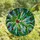 Holiday Art Admirers' Vibrant Tiffany Style Holly Branch Jewel Tones Intricate Mosaic Stained Glass Suncatcher - 4