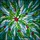 Holiday Art Admirers' Vibrant Tiffany Style Holly Branch Jewel Tones Intricate Mosaic Stained Glass Suncatcher - 7