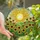 Vibrant Style Seekers' Tiffany Stained Glass Sun Sunflower Radiant Yellow Orange Mosaic Stained Glass Suncatcher - 1