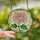 Art Lovers' Luminous Tiffany Stained Glass Emerald Pink Yellow Intricate Chrysanthemum Mosaic Stained Glass Suncatcher - 2
