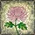 Art Lovers' Luminous Tiffany Stained Glass Emerald Pink Yellow Intricate Chrysanthemum Mosaic Stained Glass Suncatcher - 7