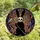 Fantasy Art Enthusiasts' Opaque Black Rabbit Skull Face Silver Scythe Tiffany Style Jewel Tone Nocturnal Stained Glass Mosaic Stained Glass Suncatcher - MiC_e7VG6p