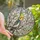 Bird Lovers' Intricate Stained Glass Cockatiel Tiffany Art Yellow Orange Pink Floral Mosaic Pattern Stained Glass Suncatcher - 1