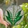 Nature Lovers' Radiant White Emerald Green Lily of the Valley Tiffany Stained Glass Floral Mosaic Pattern Stained Glass Suncatcher - 1