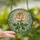 Women's Intricate Stained Glass Pink Rose Bloom, Emerald Leaves, Pastel Tiffany Mosaic Art Stained Glass Suncatcher - 2