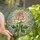 Women's Intricate Stained Glass Pink Rose Bloom, Emerald Leaves, Pastel Tiffany Mosaic Art Stained Glass Suncatcher - 1