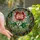 Women's Radiant Stained Glass Pink Rose Emerald Green Swirling Botanical Art Stained Glass Suncatcher - 1