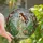 Women's Jewel Tone Tiffany Stained Glass Enchanted Forest Woman Fawn Pink Blossoms Art Stained Glass Suncatcher - 1