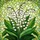 duiyfppz/products/693b956dce803cfa987fa28a/gallery/hCao5NqqiB