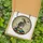 Fantasy Art Enthusiasts' Whimsical Rat Ornate Stained Glass Cosmic Chart Jewel Tone Mosaic Stained Glass Suncatcher - 5
