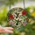 Nature Lovers' Intricate Stained Glass Ruby Hummingbirds Hibiscus Bloom Green Foliage Mosaic Stained Glass Suncatcher - 2