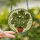 Plant Lovers' Vibrant Green Monstera Plant Terracotta Pot Tiffany Stained Glass Geometric Mosaic Stained Glass Suncatcher - LXJmSSJSXz
