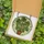 Plant Lovers' Vibrant Green Monstera Plant Terracotta Pot Tiffany Stained Glass Geometric Mosaic Stained Glass Suncatcher - NKZ0GDd0HO