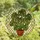 Plant Lovers' Vibrant Green Monstera Plant Terracotta Pot Tiffany Stained Glass Geometric Mosaic Stained Glass Suncatcher - tTmeKZ_GAF
