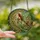 Fantasy Art Lovers' Intricate Tiffany Glass Fairy Iridescent Wings Emerald Green Golden Bronze Teal Mosaic Pattern Stained Glass Suncatcher - 2