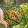 Nature Lovers' Vibrant Tiffany Style Stained Glass European Robin Floral Mosaic Stained Glass Suncatcher - 1