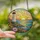 Coastal Art Enthusiast's Glowing Stained Glass Lighthouse Sunset Wildflower Mosaic Stained Glass Suncatcher - 2