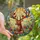 Nature Lovers' Majestic Deer Tiffany Stained Glass Floral Mosaic Rich Brown & Jewel Tones Stained Glass Suncatcher - 1