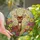 Nature Lovers' Majestic Deer Wildflower Stained Glass Tiffany Jewel Tone Mosaic Stained Glass Suncatcher - RVVOy93etM