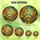 Nature Lovers' Tiffany Style Blue Tit Birds Autumn Leaves Berries Stained Glass Mosaic Stained Glass Suncatcher - 2ebIkA3aS7