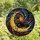 Doberman Lovers' Tiffany Style Stained Glass Pinscher Golden Moon Cosmic Night Sky Jewel Tones Stained Glass Suncatcher - 4