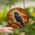 Fantasy Art Lovers' Intricate Tiffany Stained Glass Raven Glowing Eye Autumn Jewel Tone Stained Glass Suncatcher - 2IsTBcl_dB