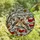 Nature Lovers' Stained Glass Bohemian Waxwing Birds Ruby Red Berry Winter Branches Mosaic Stained Glass Suncatcher - 82HeIv0wd7