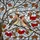 Nature Lovers' Stained Glass Bohemian Waxwing Birds Ruby Red Berry Winter Branches Mosaic Stained Glass Suncatcher - 7