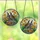 Nature Lovers' Vibrant Stained Glass California Quail Poppies Edge-to-Edge Mosaic Stained Glass Suncatcher - BP0aJ_9EM4