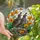 Nature Lovers' Vibrant Stained Glass California Quail Poppies Edge-to-Edge Mosaic Stained Glass Suncatcher - f75mGyckjf