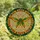 Nature Lovers' Intricate Stained Glass Cicada Emerald Green Cobalt Blue Golden Yellow Geometric Mosaic Stained Glass Suncatcher - BvLouvbABT