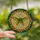 Nature Lovers' Intricate Stained Glass Cicada Emerald Green Cobalt Blue Golden Yellow Geometric Mosaic Stained Glass Suncatcher - fXJ77bqeH4