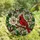 Nature Lovers' Vibrant Red Cardinal Bird Tiffany Stained Glass Mosaic, White Floral & Green Leaf Pattern Stained Glass Suncatcher - 4