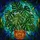 Plant Lovers' Tiffany Stained Glass Emerald Green Monstera Leaves Terracotta Pot Mosaic Pattern Stained Glass Suncatcher - 7
