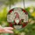 Christmas Enthusiasts' Jovial Gnome Stained Glass Mosaic Poinsettia Holly Red Green Jewel Tones Stained Glass Suncatcher - GZw2IAfDqY