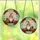 Christmas Enthusiasts' Jovial Gnome Stained Glass Mosaic Poinsettia Holly Red Green Jewel Tones Stained Glass Suncatcher - ZH2rmM1KmA