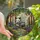 Fantasy Art Lovers' Whimsical Winged Opossum Stained Glass Enchanted Forest Mosaic Design Stained Glass Suncatcher - 1