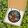 Nature Art Enthusiasts Hyper-Detailed Jewel-Toned Stag Beetle Stained Glass Mosaic Stained Glass Suncatcher - 5