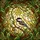 Nature Lovers' Intricate Stained Glass Chickadee Bird Tiffany Style Vibrant Yellow Cream Mosaic Stained Glass Suncatcher - 7