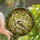 Nature Lovers' Intricate Stained Glass Chickadee Bird Tiffany Style Vibrant Yellow Cream Mosaic Stained Glass Suncatcher - vdkSyVSOGT