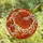 Aquarium Enthusiasts' Glowing Siamese Fighting Fish Stained Glass Art Deep Red Orange Water Patterns Stained Glass Suncatcher - 4