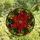 Women's Detailed Tiffany Stained Glass Poinsettia Floral Mosaic Fiery Red Emerald Green Stained Glass Suncatcher - 4