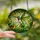 Nature Lovers' Jewel Tone Stained Glass Hummingbird Emerald Lime Tropical Art Stained Glass Suncatcher - 2