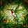 Nature Lovers' Jewel Tone Stained Glass Hummingbird Emerald Lime Tropical Art Stained Glass Suncatcher - 7