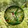 Nature Lovers' Jewel Tone Stained Glass Hummingbird Emerald Lime Tropical Art Stained Glass Suncatcher - 4