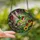 Nature Lovers' Vibrant Ruby-throated Hummingbird Tiffany Stained Glass Garden Mosaic Stained Glass Suncatcher - fM7yPGN0Hm