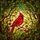 Nature Lovers' Vibrant Red Cardinal Tiffany Stained Glass Forest Canopy Mosaic Stained Glass Suncatcher - 7