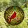 Nature Lovers' Vibrant Red Cardinal Tiffany Stained Glass Forest Canopy Mosaic Stained Glass Suncatcher - stsfP5qiEy