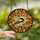 Nature Lovers' Black-capped Chickadee Stained Glass Mosaic, Tiffany Jewel Tones, Warm Amber Forest Canopy Blue Sky Stained Glass Suncatcher - -kiormE3g4