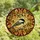 Nature Lovers' Black-capped Chickadee Stained Glass Mosaic, Tiffany Jewel Tones, Warm Amber Forest Canopy Blue Sky Stained Glass Suncatcher - Fy6jSZv0jo